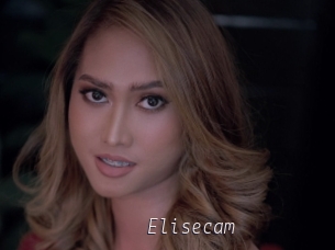Elisecam