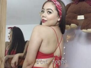 Elmi_roche