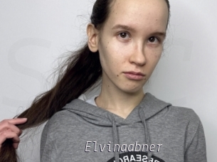 Elvinaabner