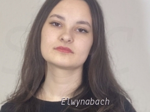 Elwynabach