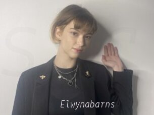 Elwynabarns