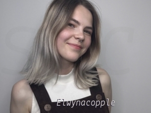 Elwynacopple