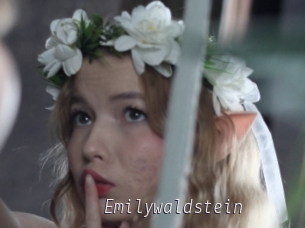 Emilywaldstein
