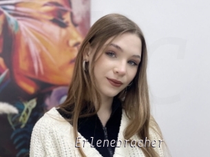 Erlenebracher