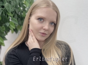 Erlinafugler