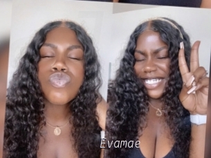 Evamae