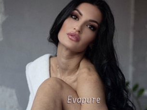 Evapure