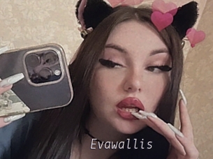 Evawallis
