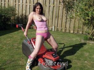 Feuchteywi