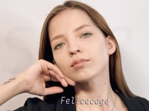 Felicecage