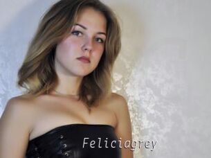 Feliciagrey