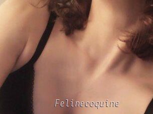 Felinecoquine
