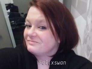 Felixswan