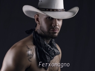 Ferxomagno