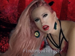 Findomgoaldigger