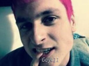 Gay411
