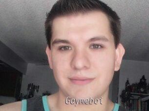 Gaymeboi