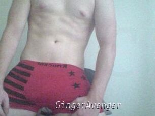 GingerAvenger