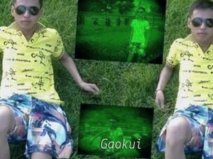 Gaokui