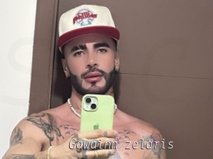 Gawainn_zeldris