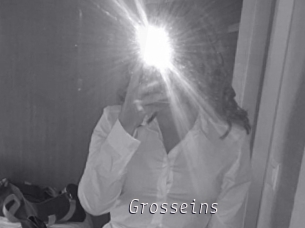 Grosseins