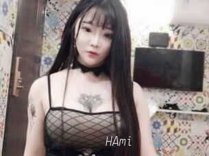 HAmi