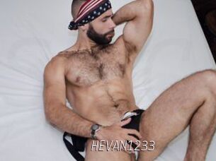 HEVAN1233