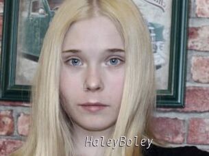 HaleyBoley