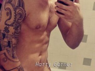 Harry_Garner