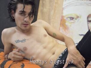 Harrys_bigstick