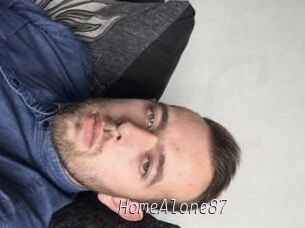 HomeAlone87