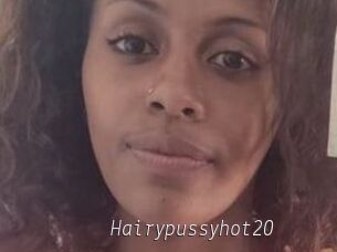 Hairypussyhot20