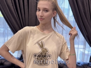 Harleyblooms