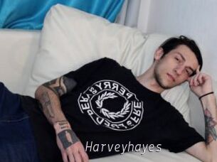 Harveyhayes