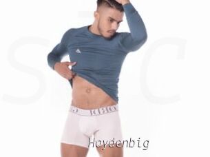 Haydenbig
