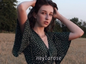 Heylarose