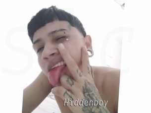 Hiddenboy