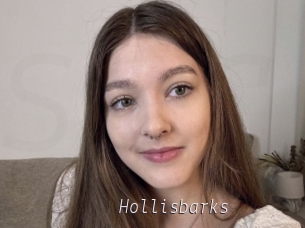 Hollisbarks