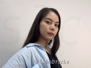Hollisbrucks