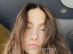 Hollisgarney