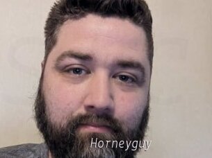 Horneyguy