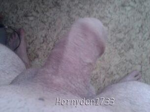 Hornydan1733