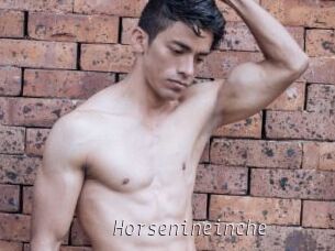 Horsenineinche