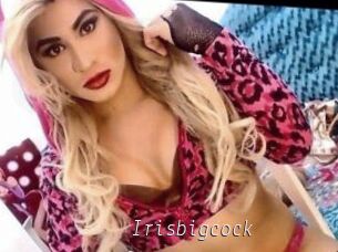 Irisbigcock
