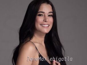 JaneMariebigatla