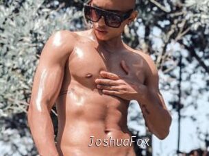 JoshuaFox