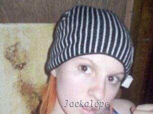 Jackalope