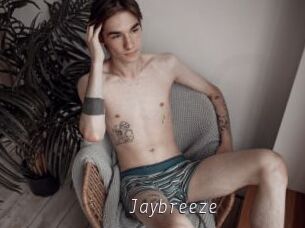 Jaybreeze