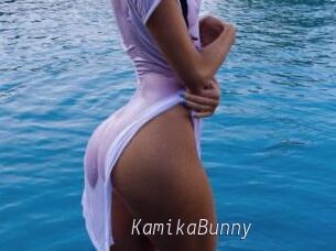 KamikaBunny