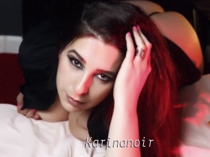 Karinanoir